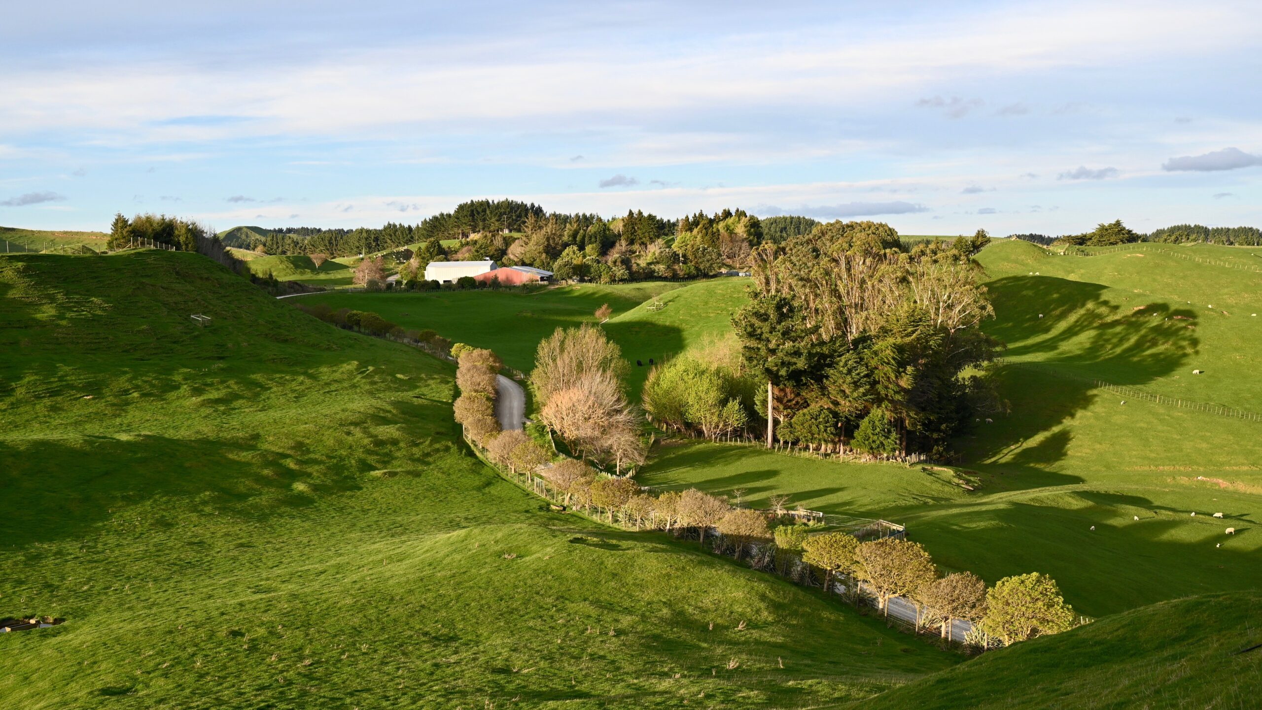 ratamarumaru-backtoshed