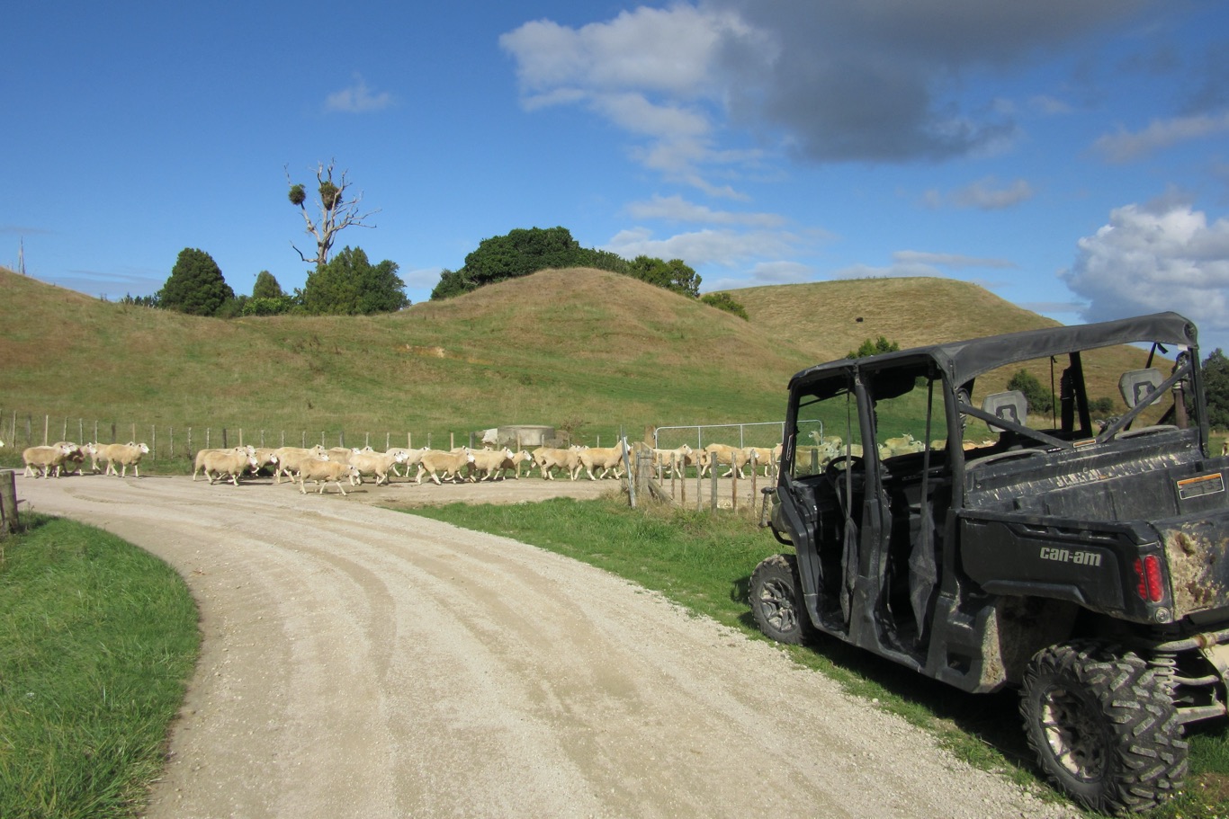 ratamarumaru_roadend