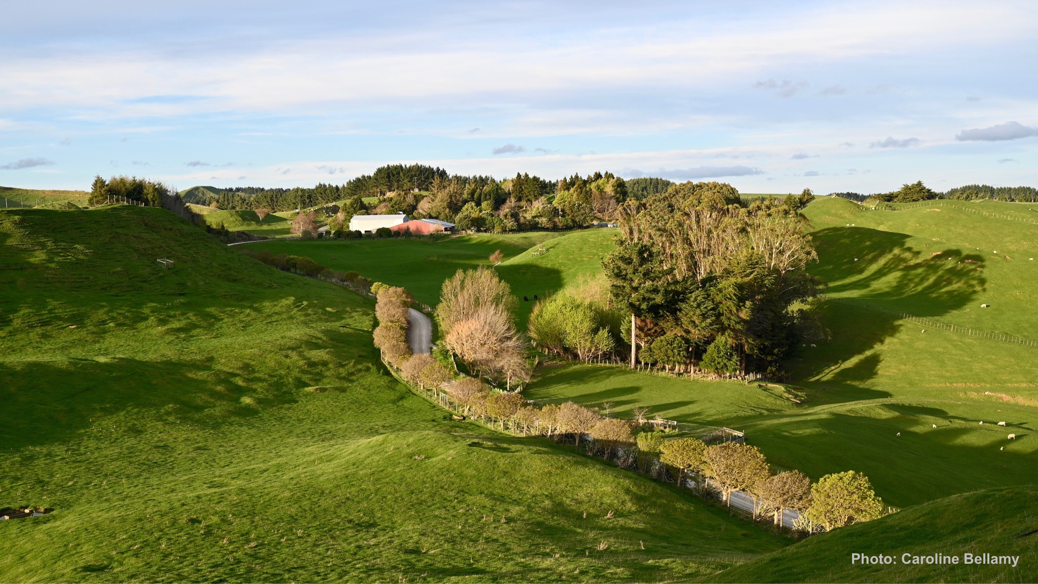 ratamarumaru_homestead