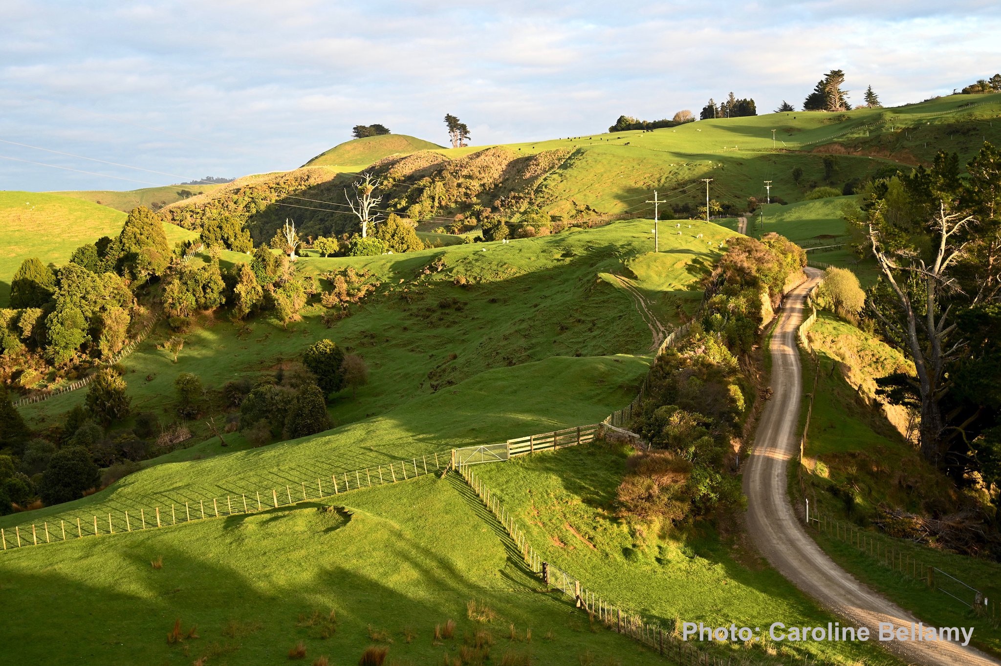 ratamarumaru_roadend